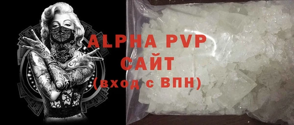 крисы Сатка