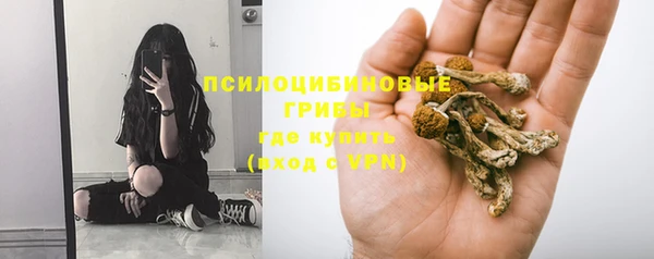 jwh Саяногорск