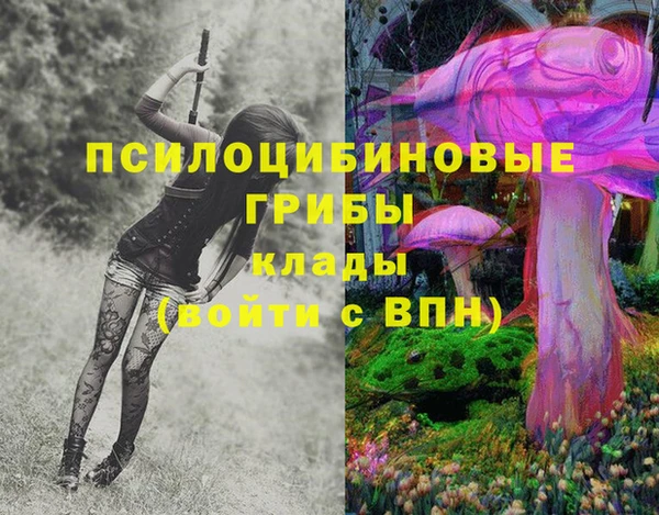 соль курить ск Арсеньев