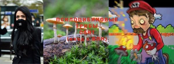 молекула духа Аркадак