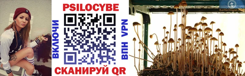 где купить наркотик  Пучеж  Галлюциногенные грибы мухоморы 